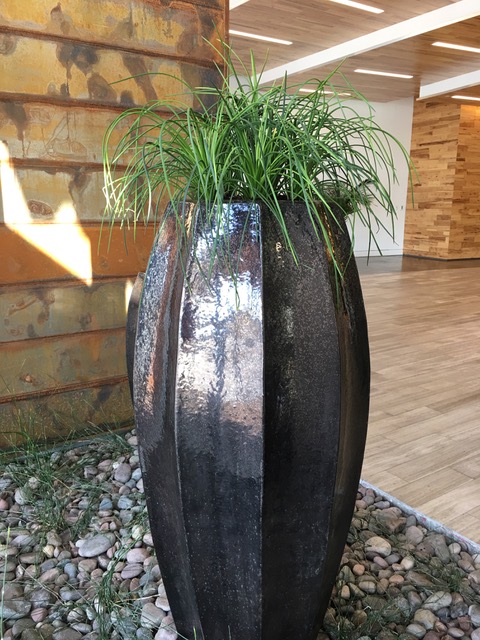 Potted plant design 2