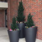 ploly-blend outdoor plants